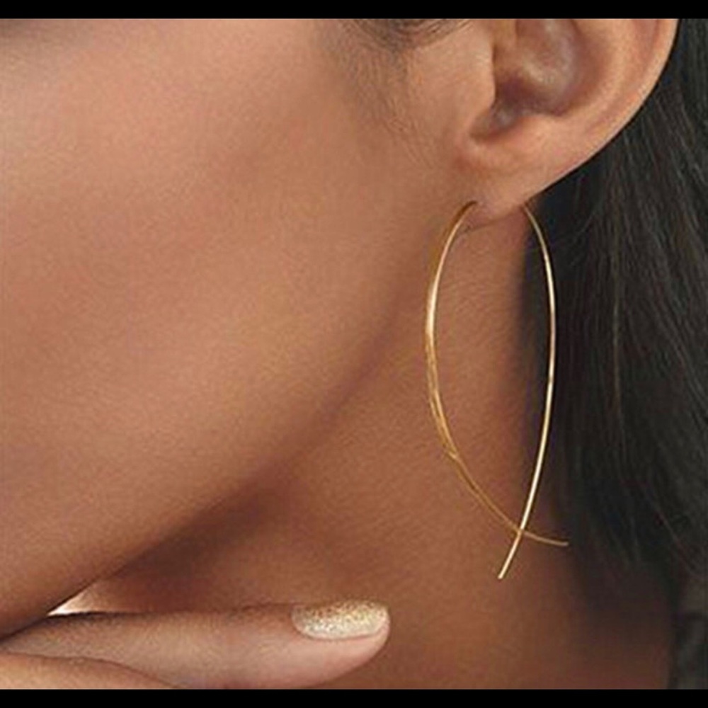 2 Pairs! Fish Shape Wire Earrings